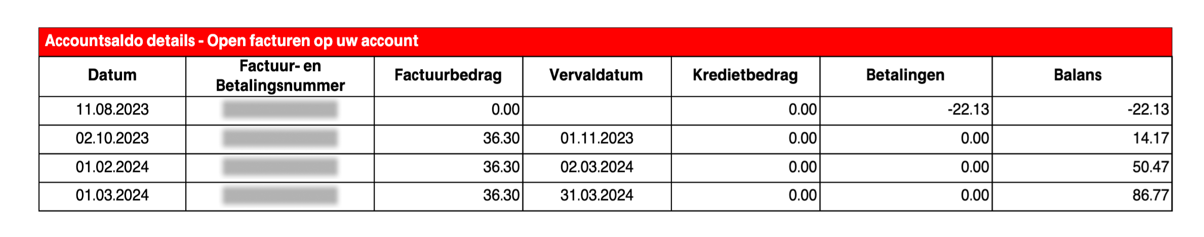 img-en-us-invoice_account_balance_details.png