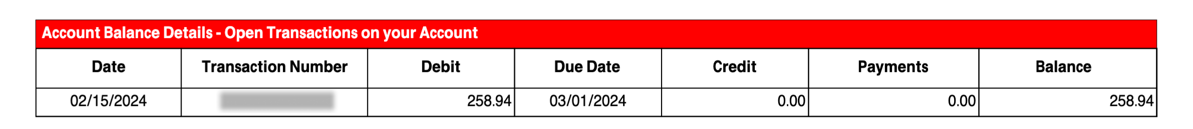 img-en-us-invoice_account_balance_details.png