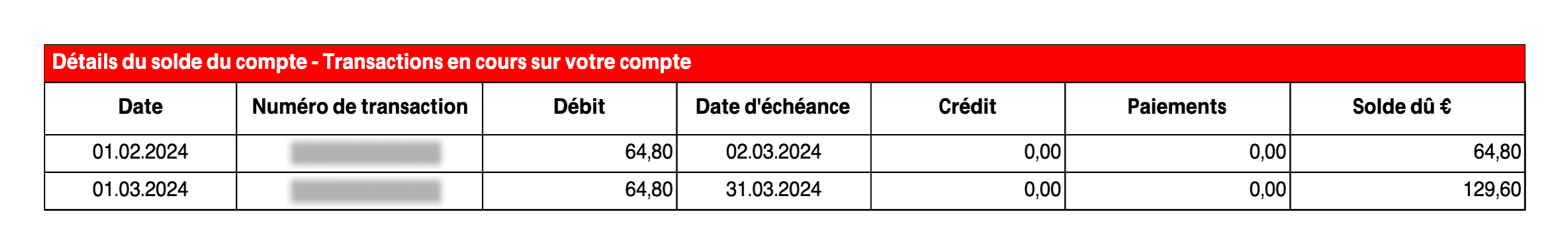 img-en-us-invoice_account_balance_details.png