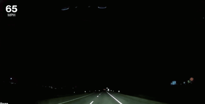 DeerRoadCam.gif